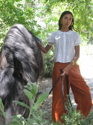 Avie Pant in Sepia Linen professional look