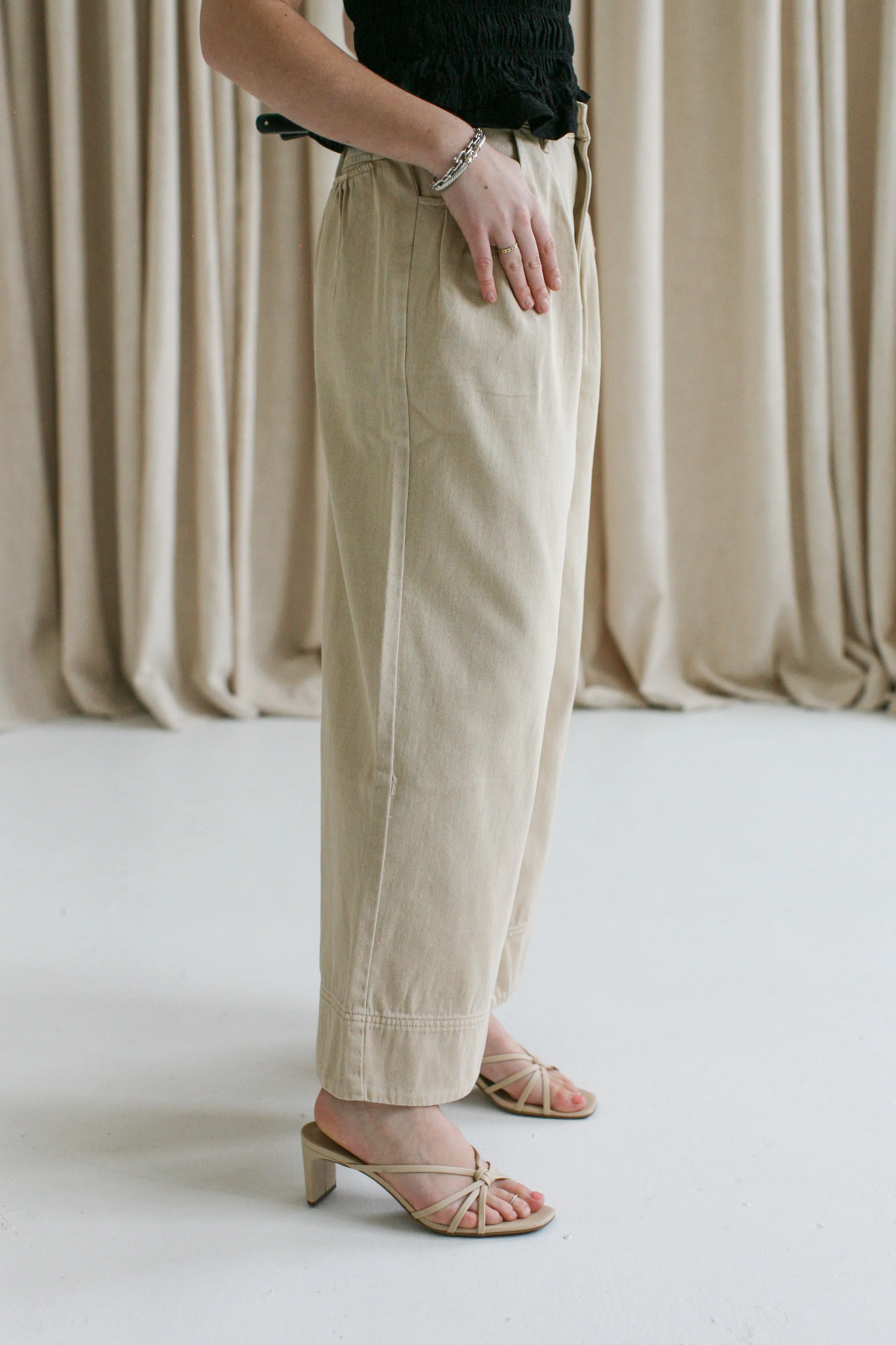 Carley Pleated Pant trendy match