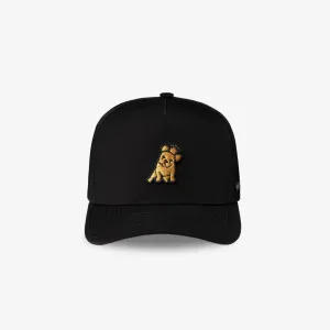 James Bark Black Recycled Cap - Gold Bark morning rush