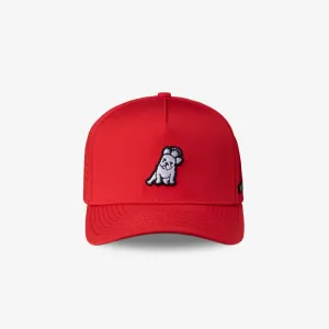 James Bark Red Recycled Cap earthy tone