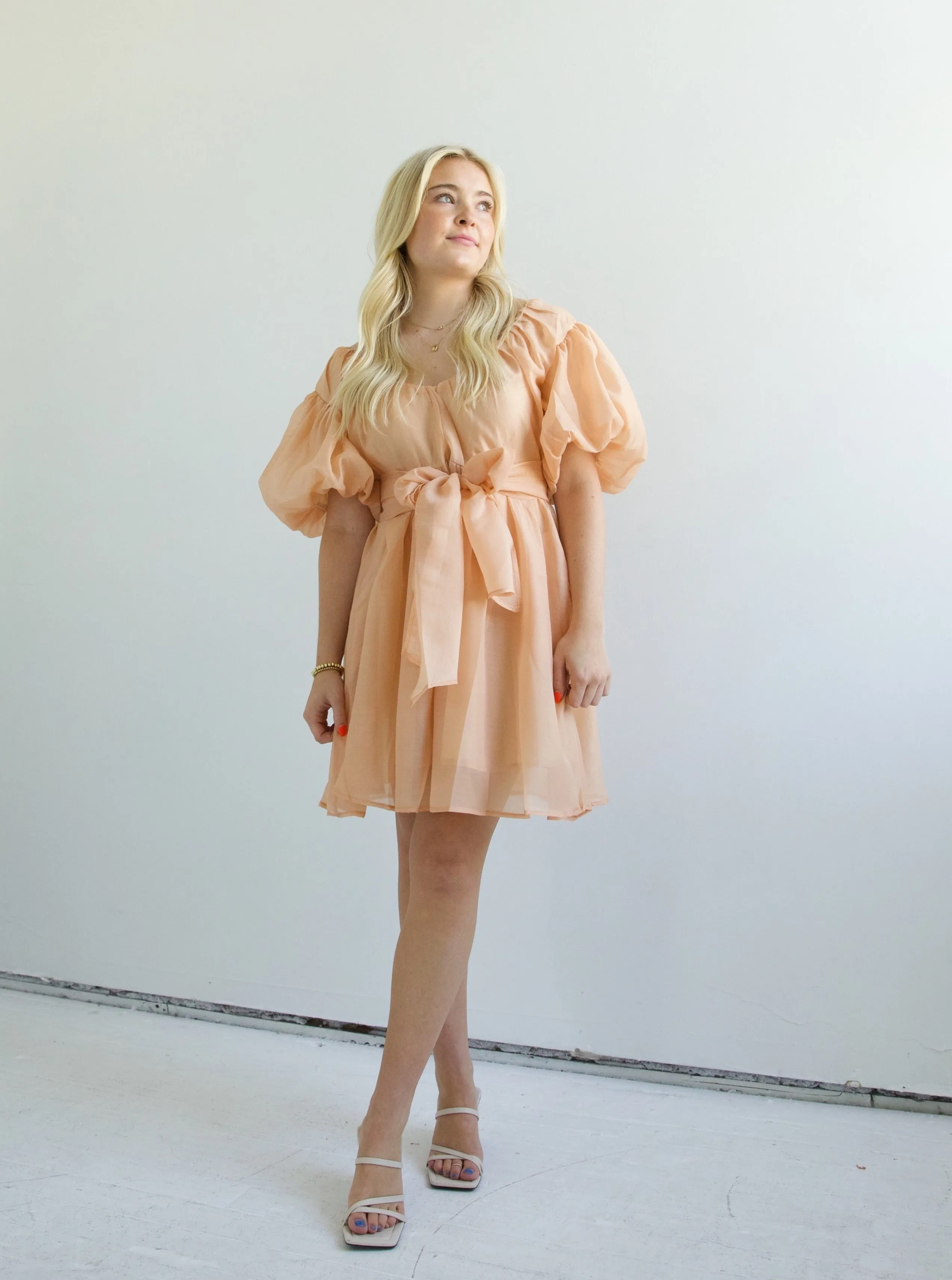 Lori Puff Sleeve Dress lifestyle look