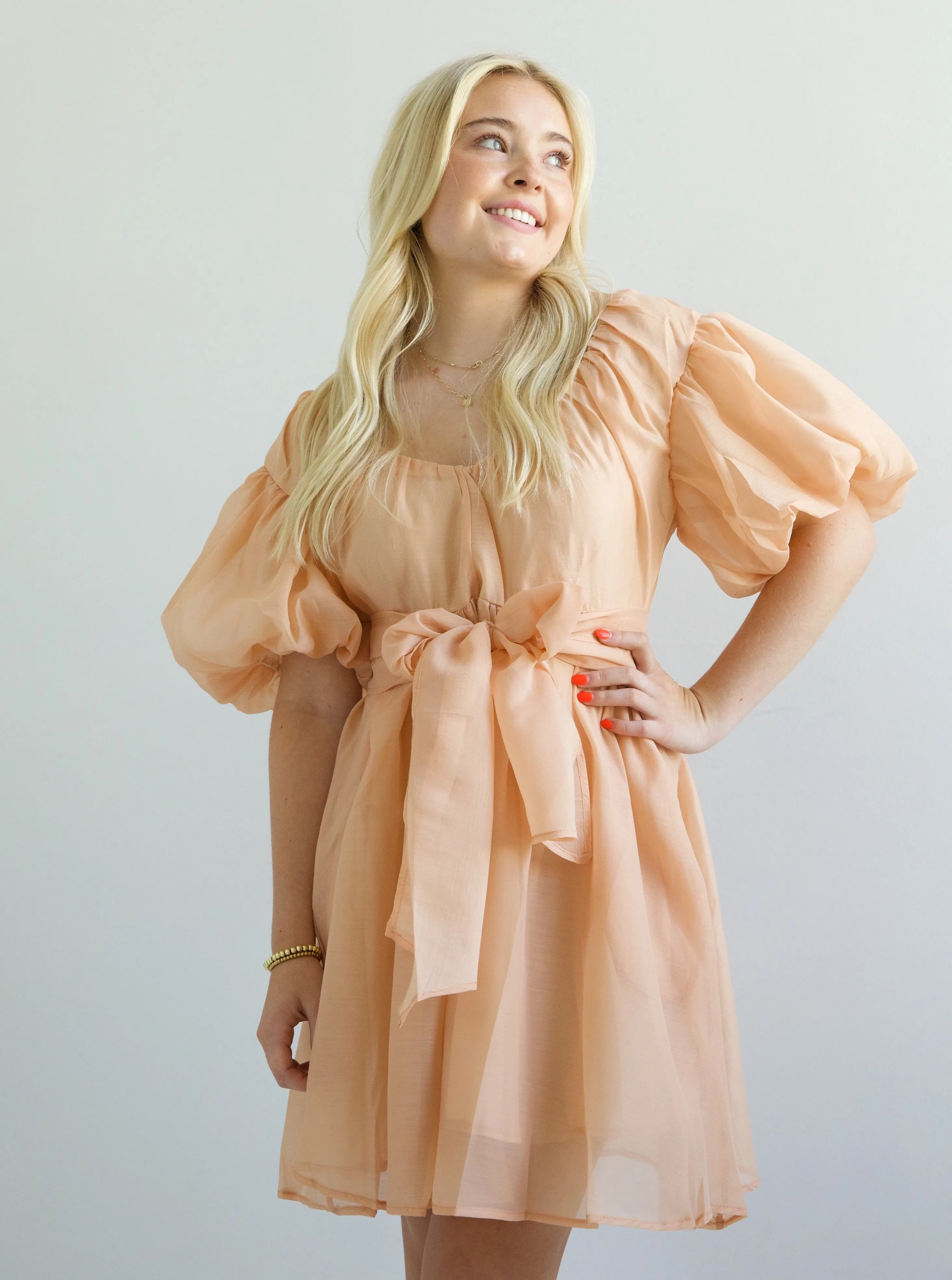 Lori Puff Sleeve Dress soft glam