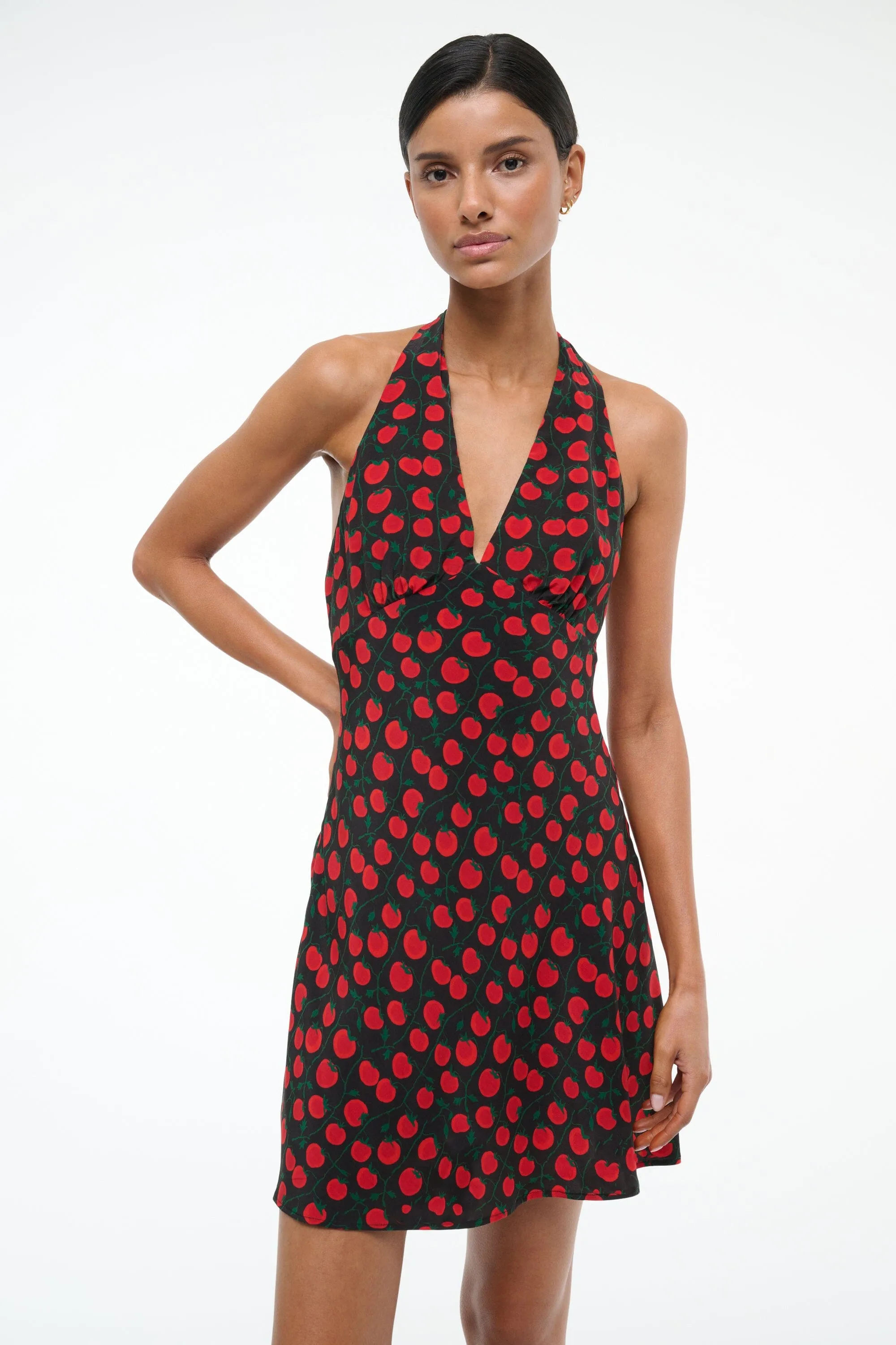 LUCCA MINI DRESS | ON THE VINE BLACK garden charm