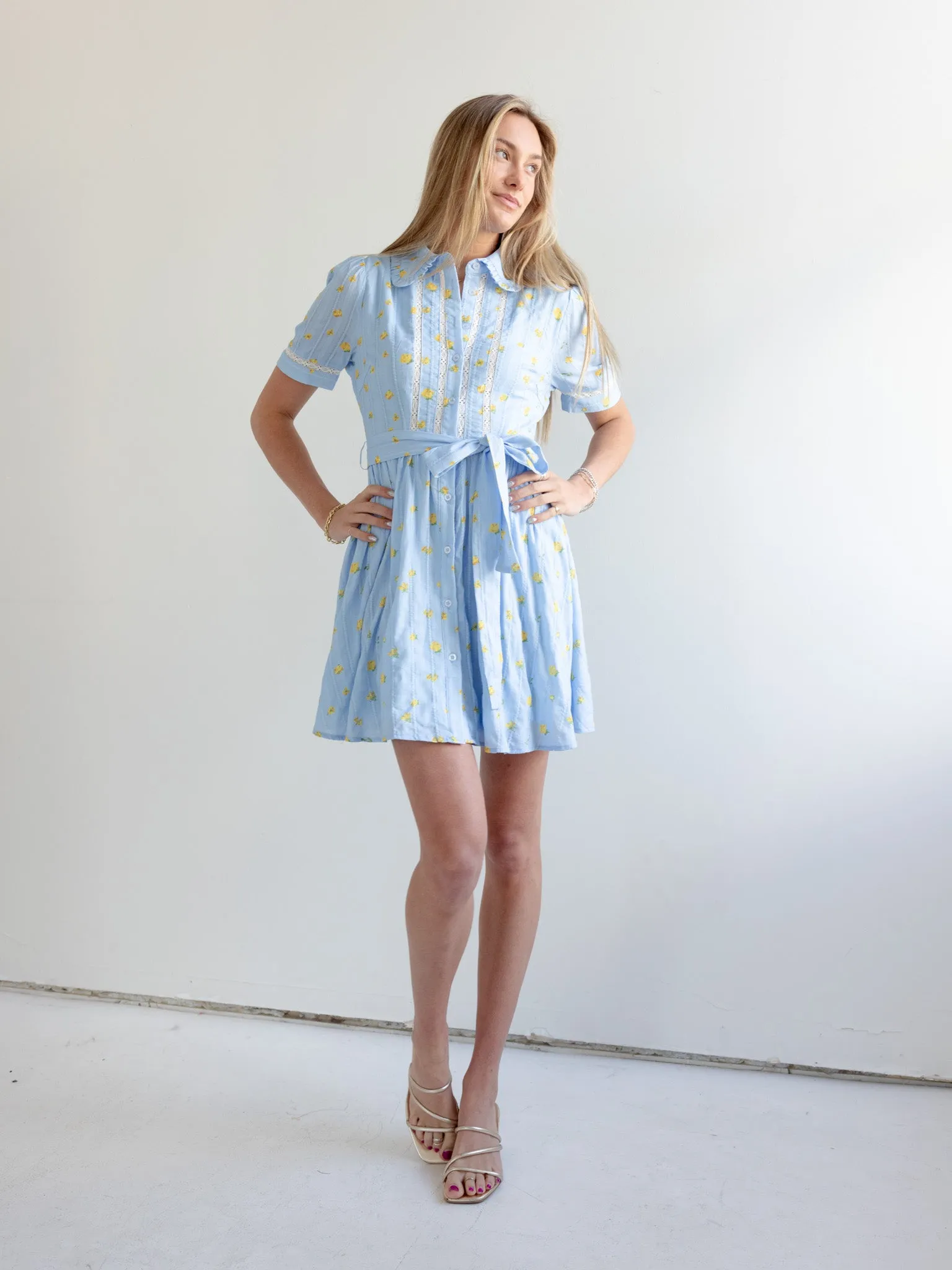 Madi Collared Mini Dress breezy tone