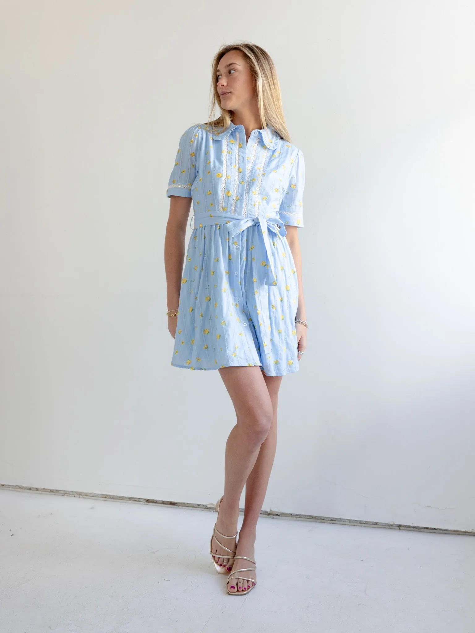 Madi Collared Mini Dress soft luxe