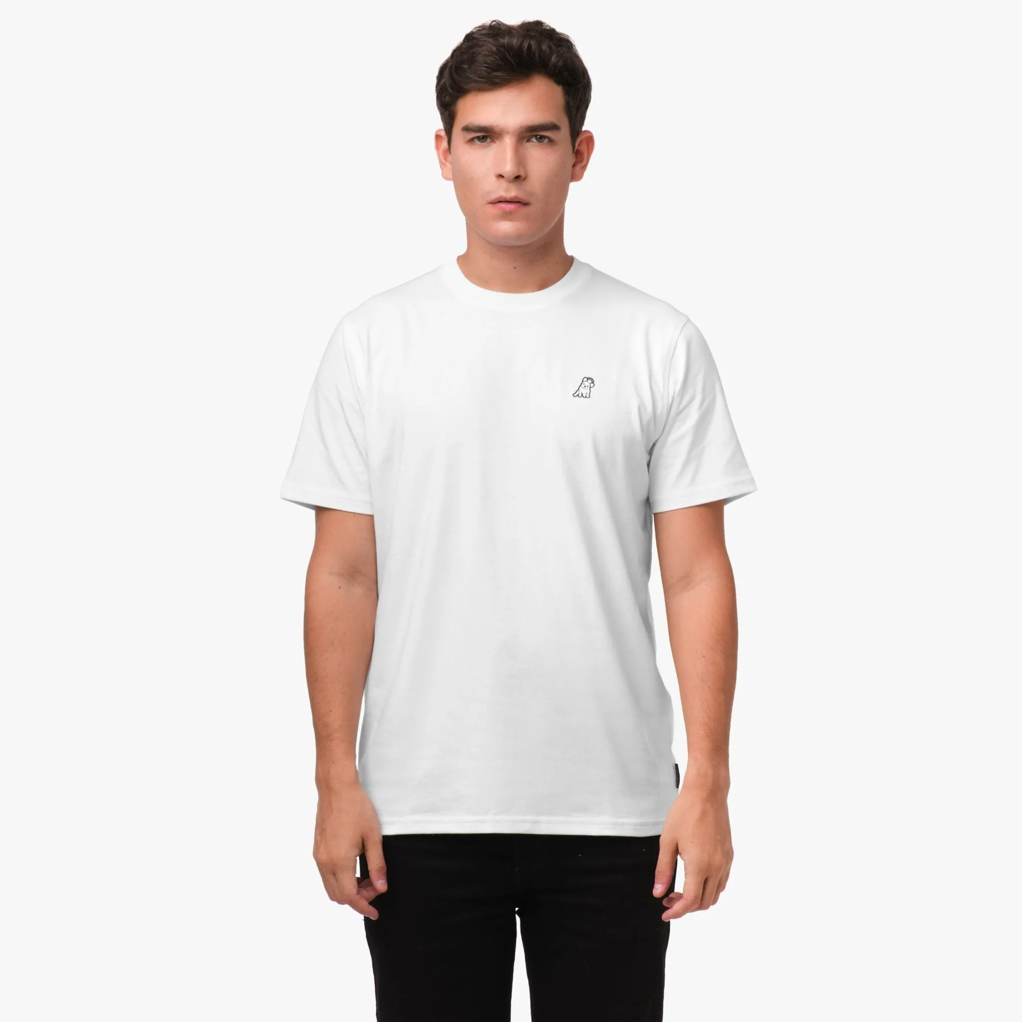 Men's Amalfi Graphic Tee clean fit