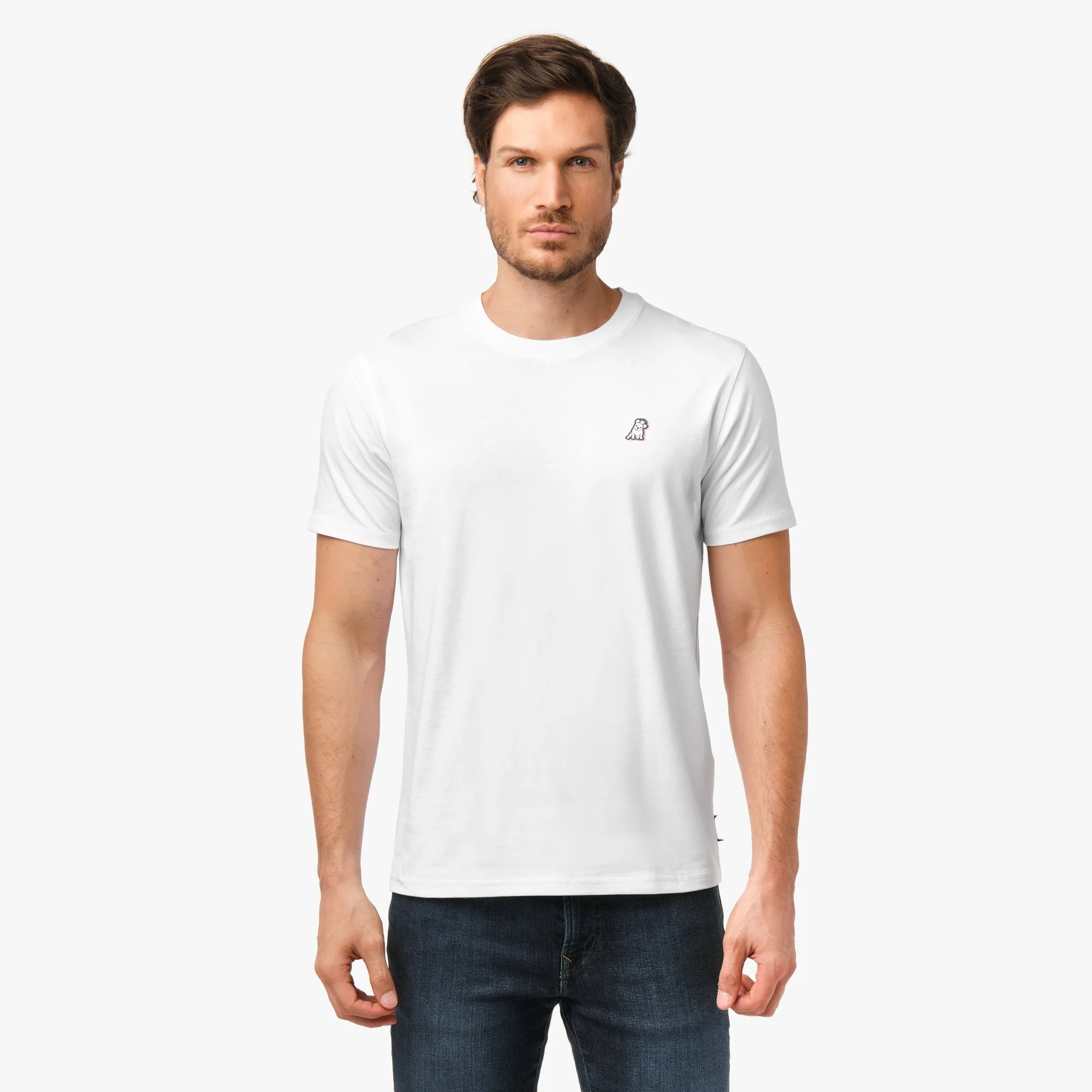 Men's Amalfi Signs Graphic Tee gender free