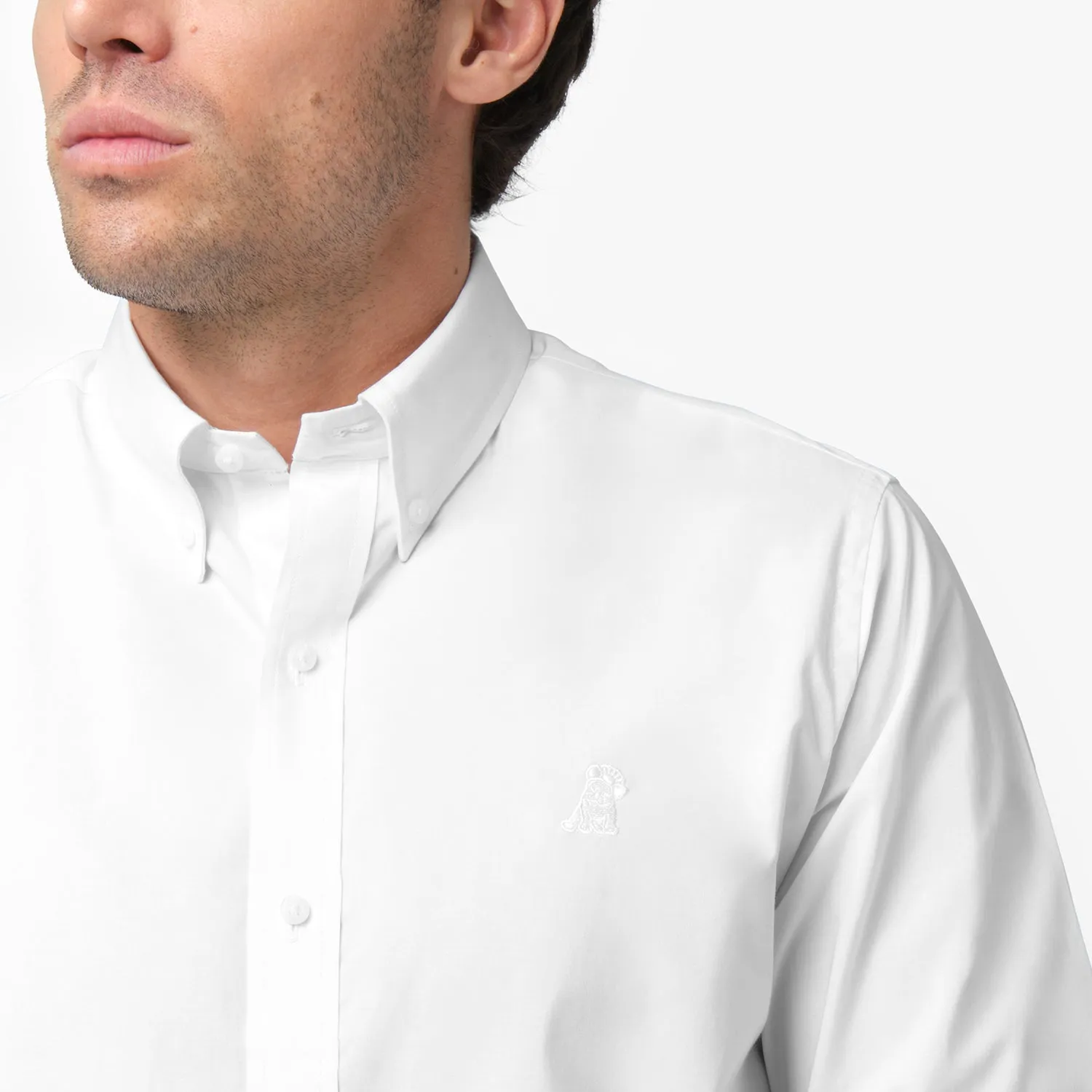 Men's Button Down Poplin Shirt modern edge
