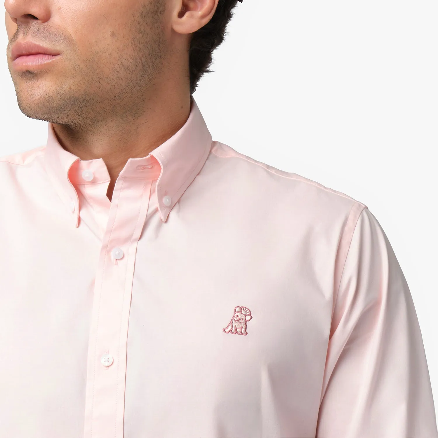 Men's Button Down Poplin Shirt smooth fit