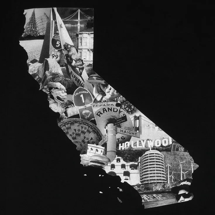Mens Cali Photo T-Shirt Black unisex choice
