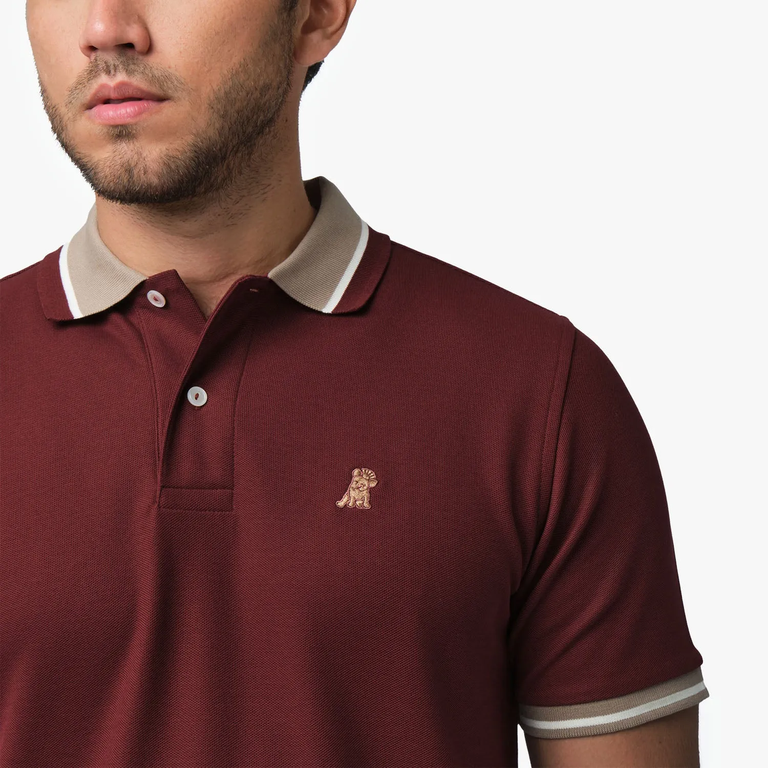 Men's Contrast Neck Lines Detail Polo Shirt cool essential