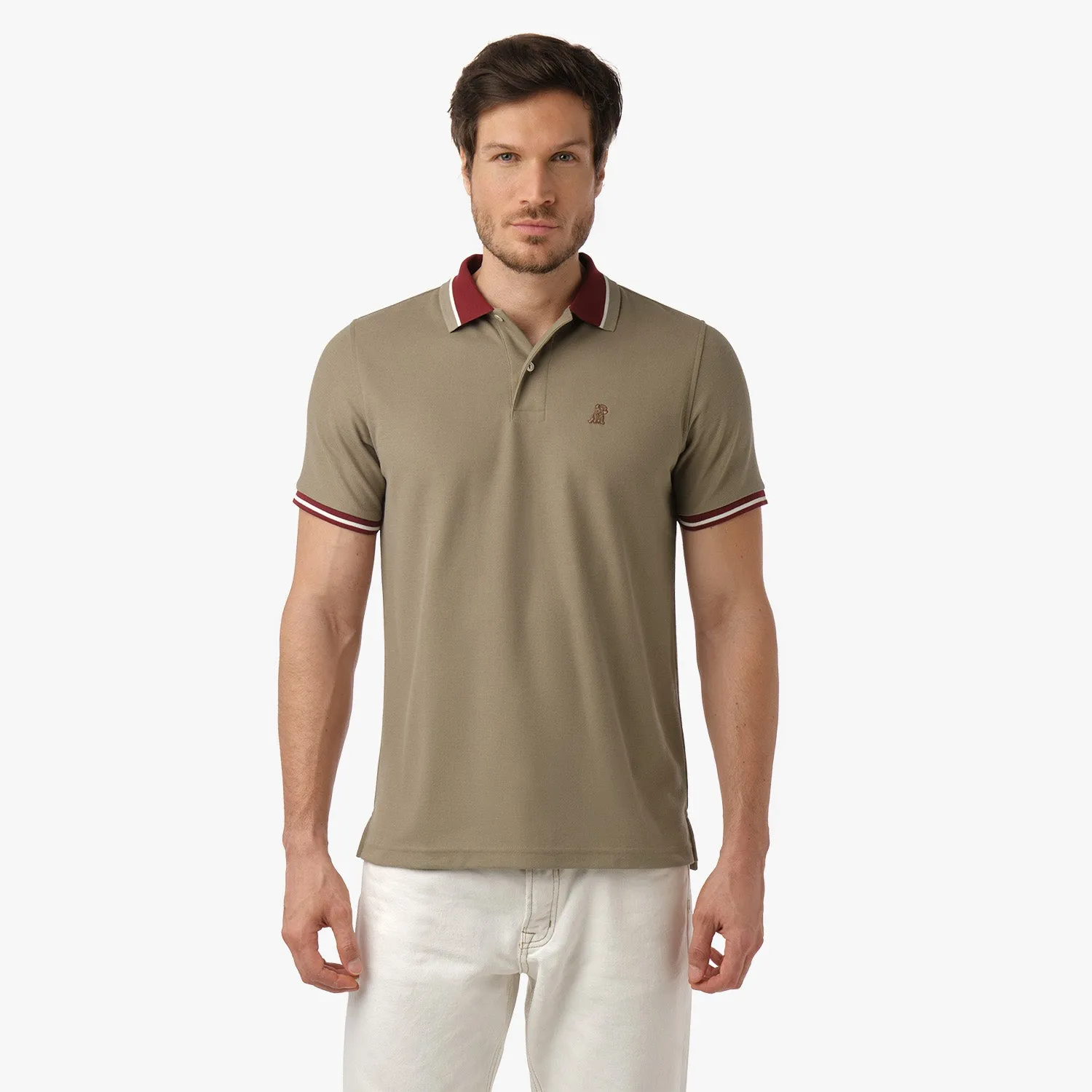 Men's Contrast Neck Lines Detail Polo Shirt visual edge