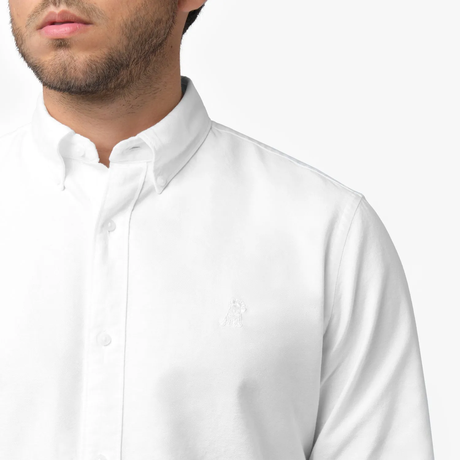 Men's Oxford Button Down Shirt effortless wear