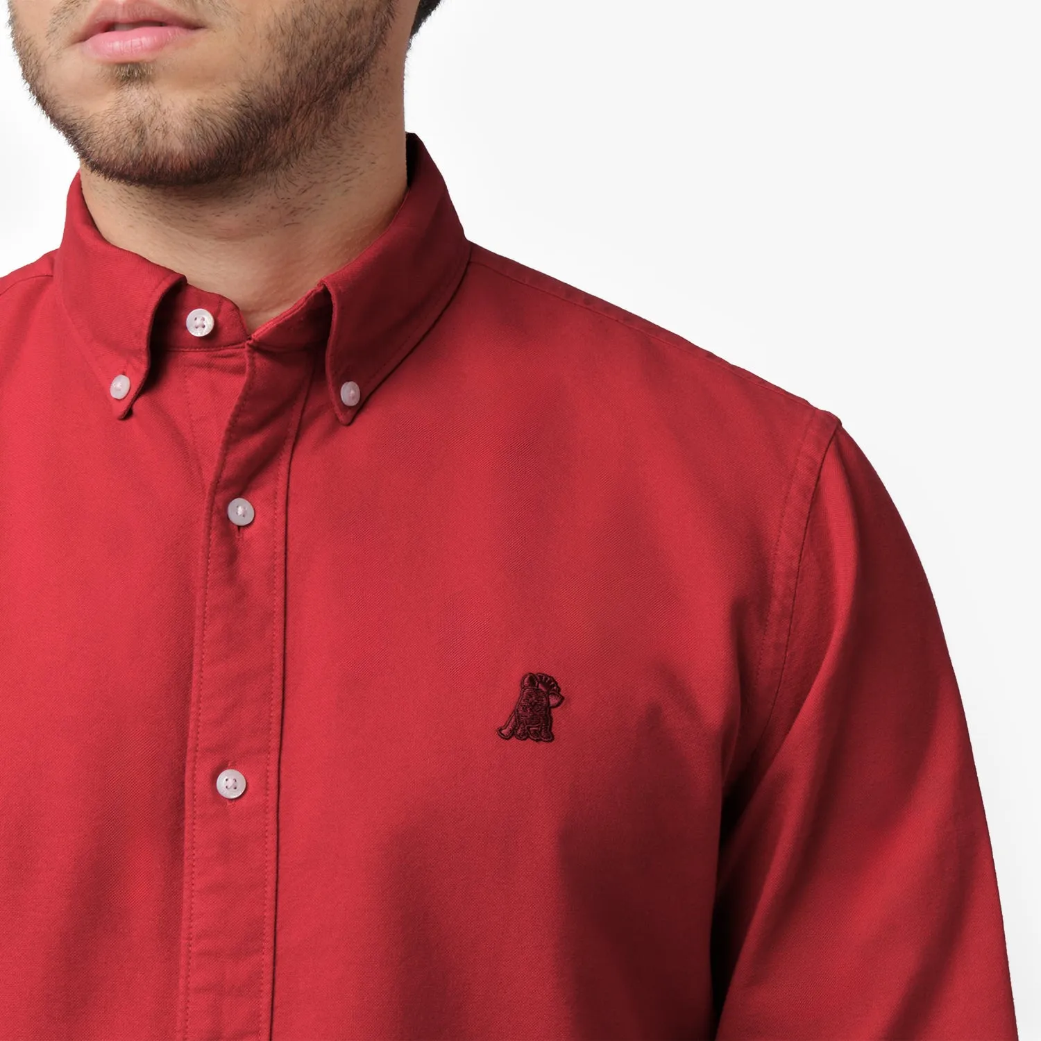 Men's Oxford Button Down Shirt date night