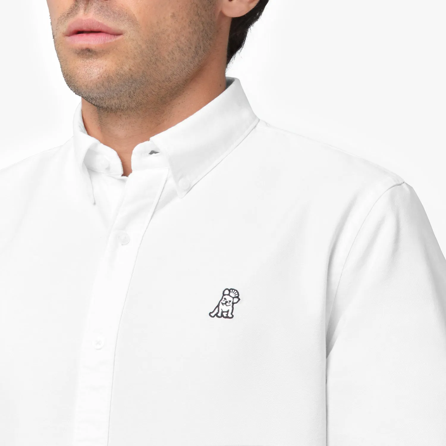 Men's Oxford Button Down Shirt youthful tone