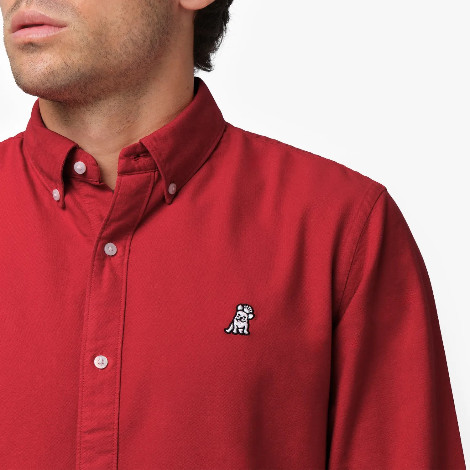Men's Oxford Button Down Shirt fresh feel