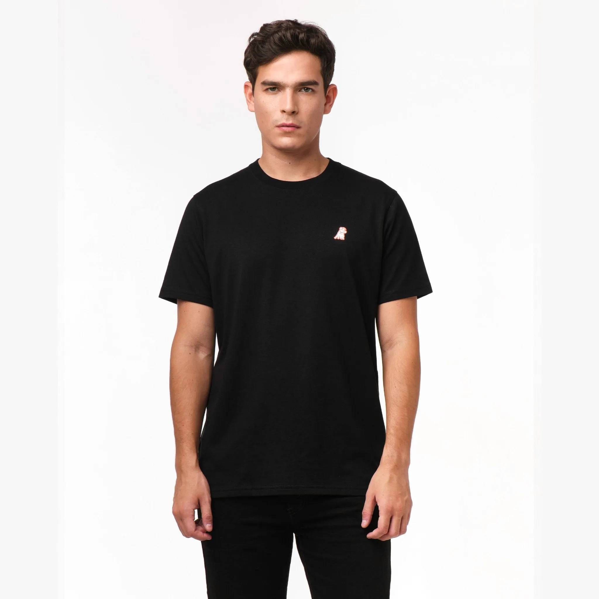 Men's Positano Graphic Tee trendy outfit