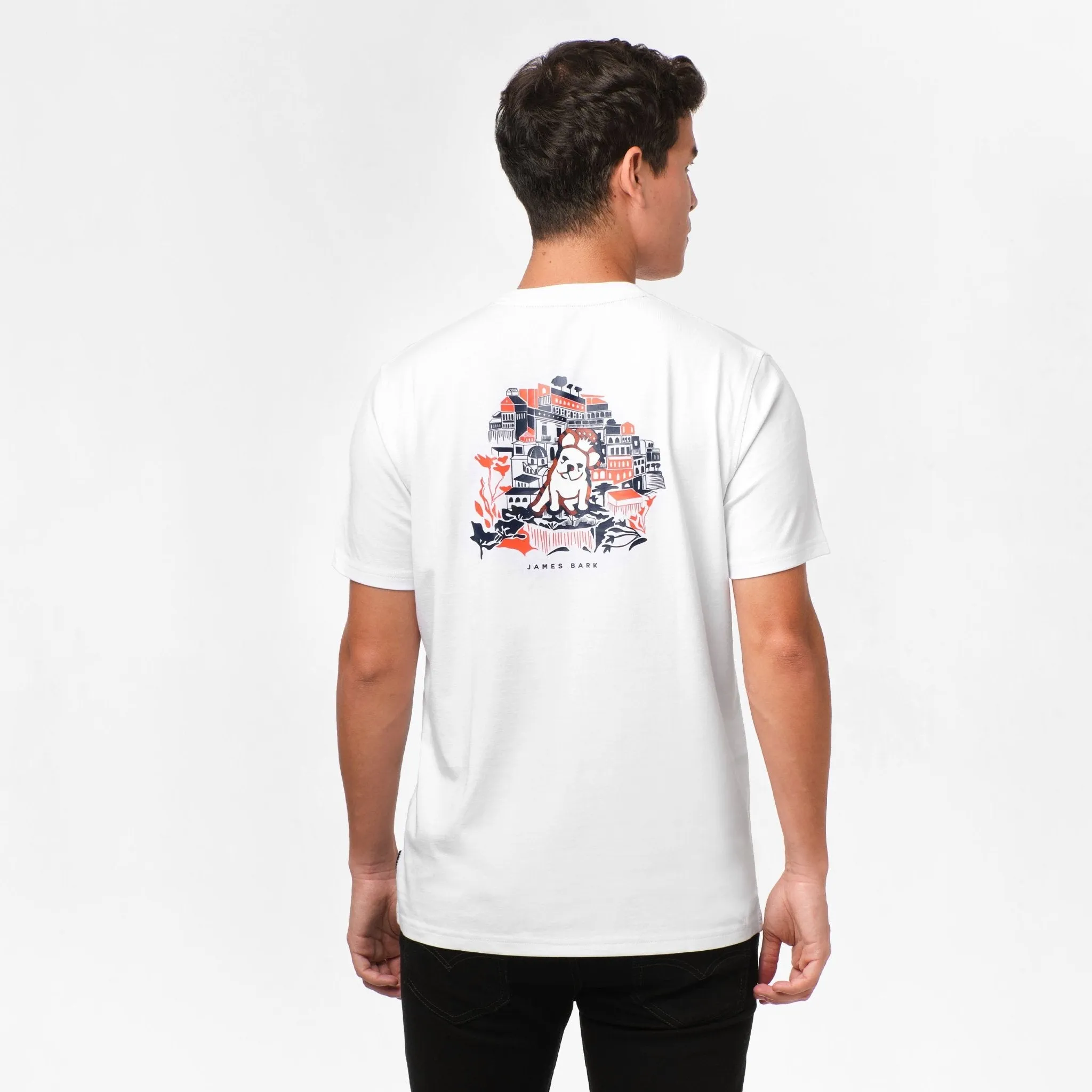 Men's Positano Graphic Tee loose vibe