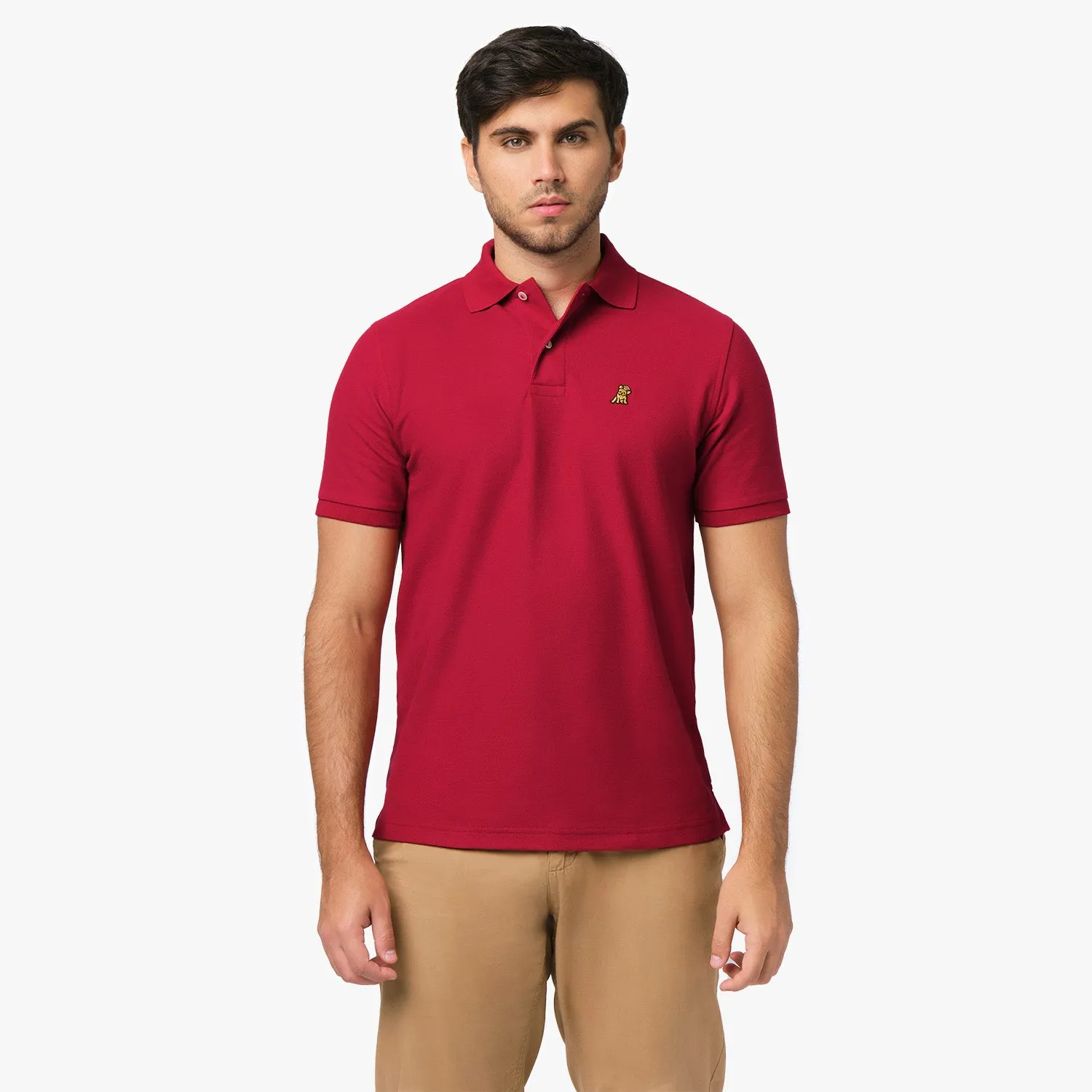 Men's Regular Fit Polo Shirt visual edge