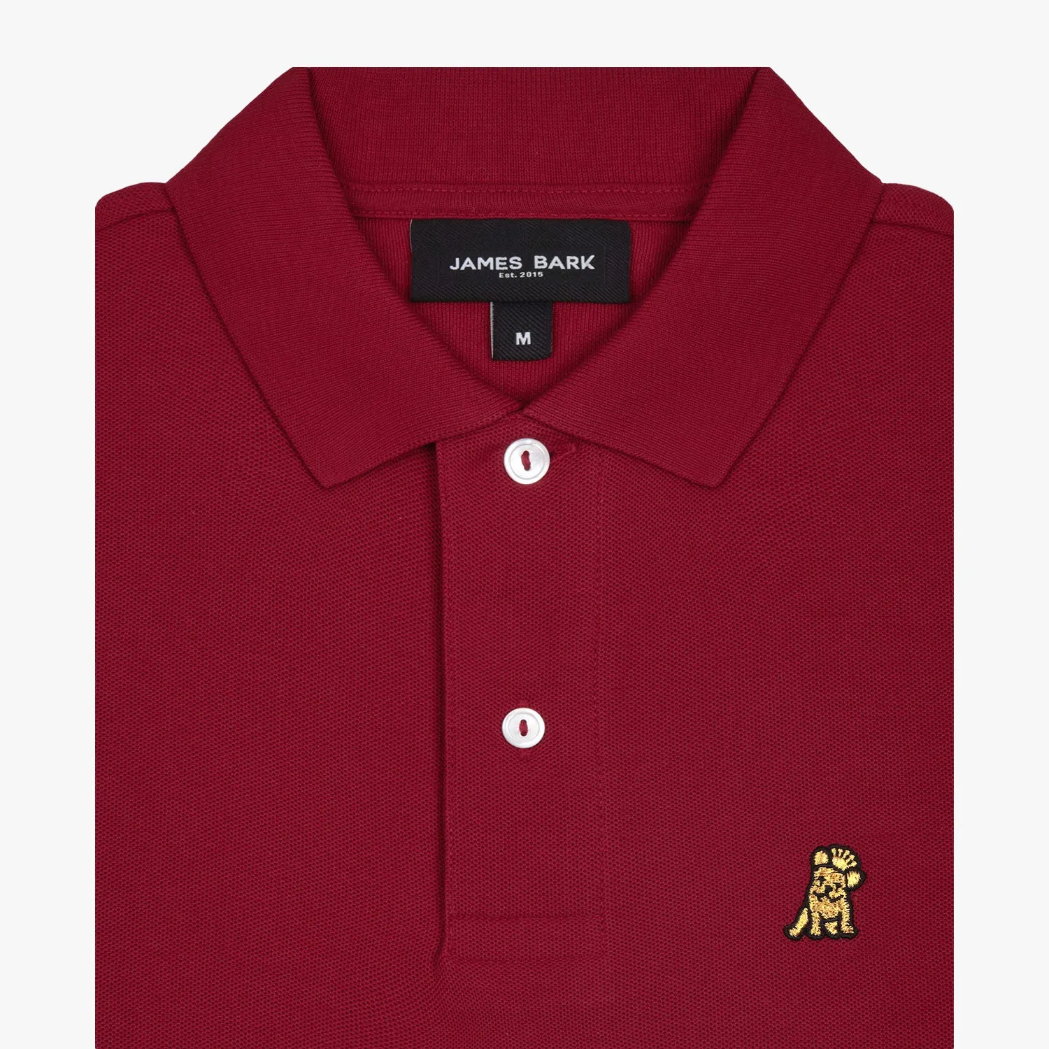Men's Regular Fit Polo Shirt style evolve