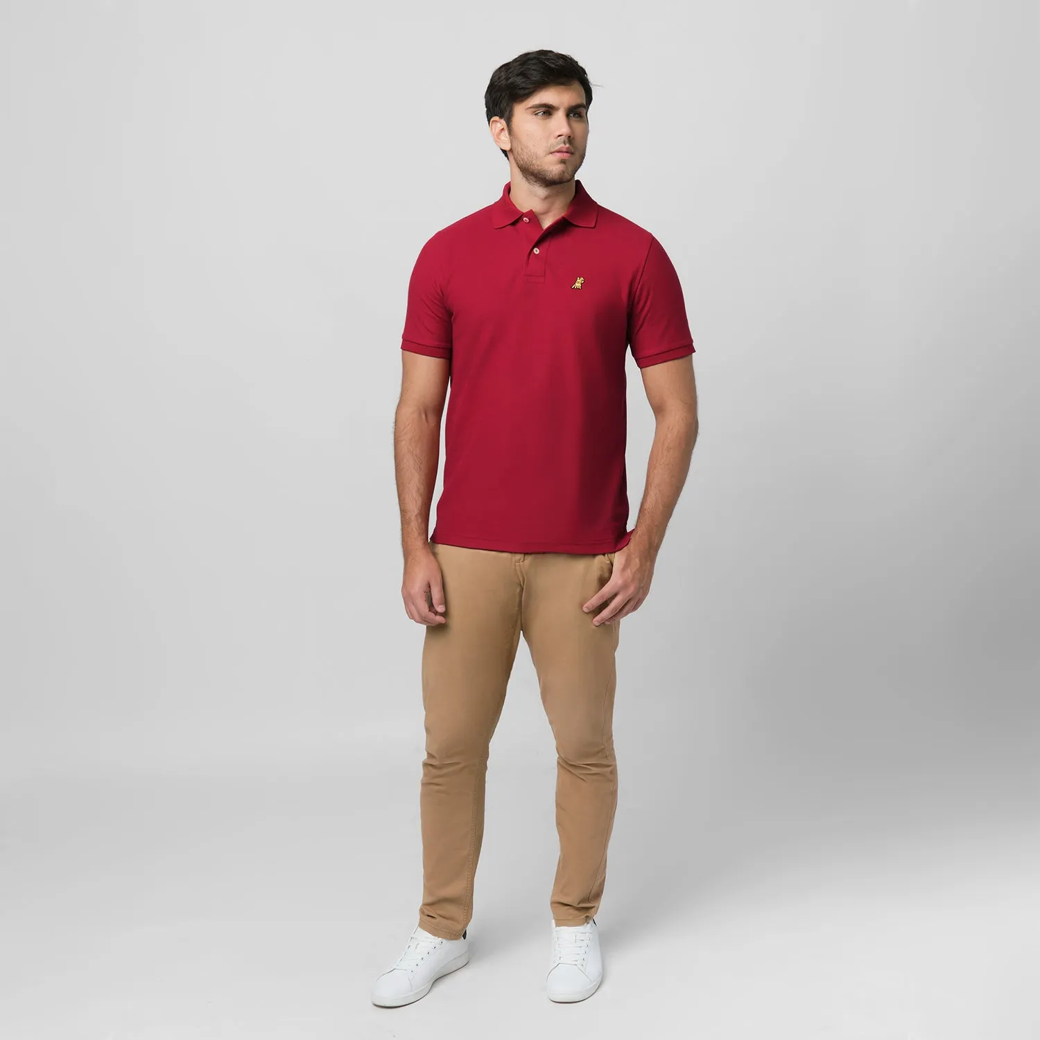 Men's Regular Fit Polo Shirt mature vibe