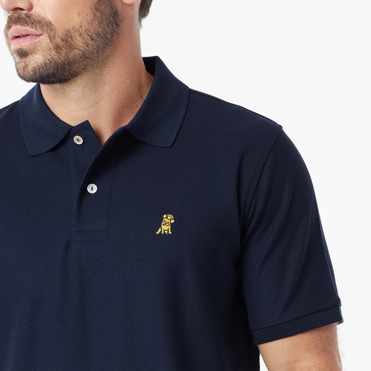 Men's Regular Fit Polo Shirt style point