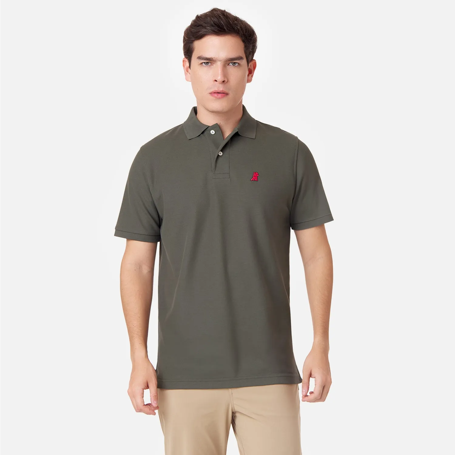 Men's Regular Fit Polo Shirt quiet style
