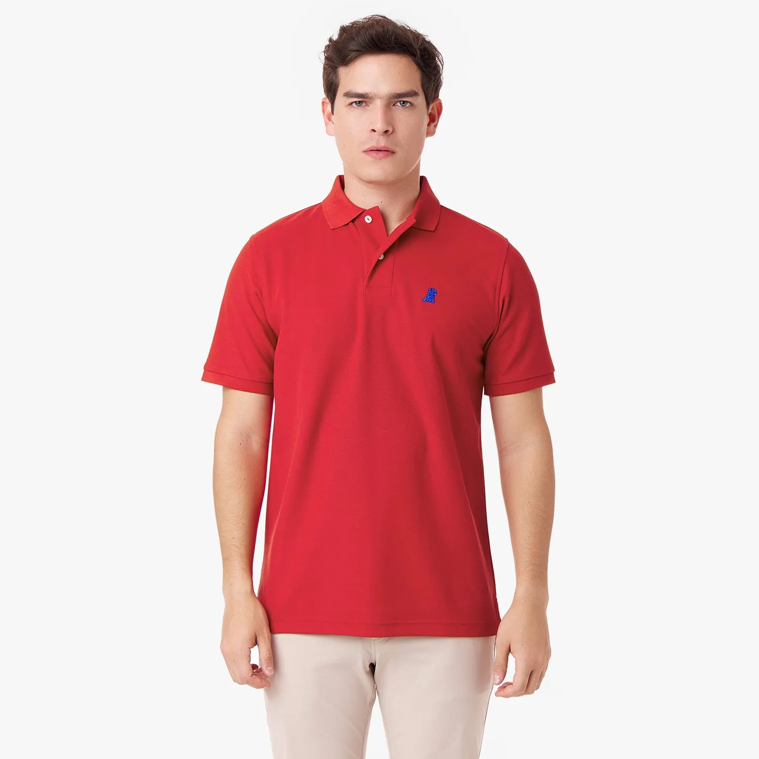 Men's Regular Fit Polo Shirt freedom move