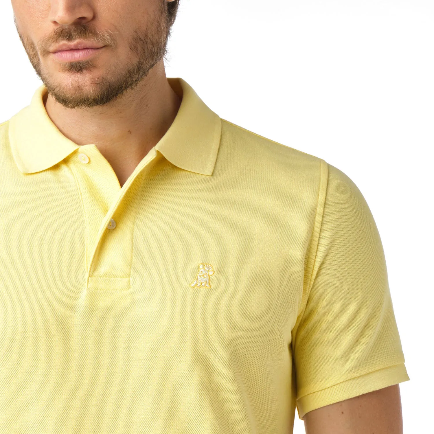 Men's Regular Fit Polo Shirt elegant vibe
