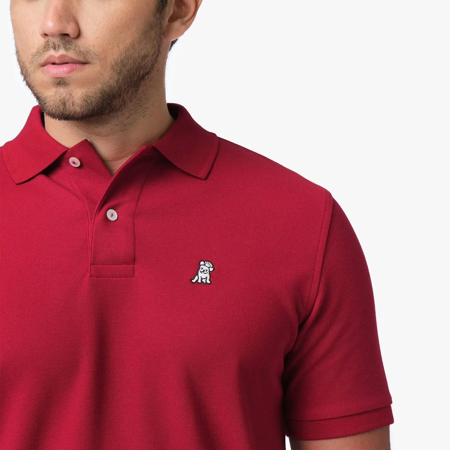 Men's Regular Fit Polo Shirt style note