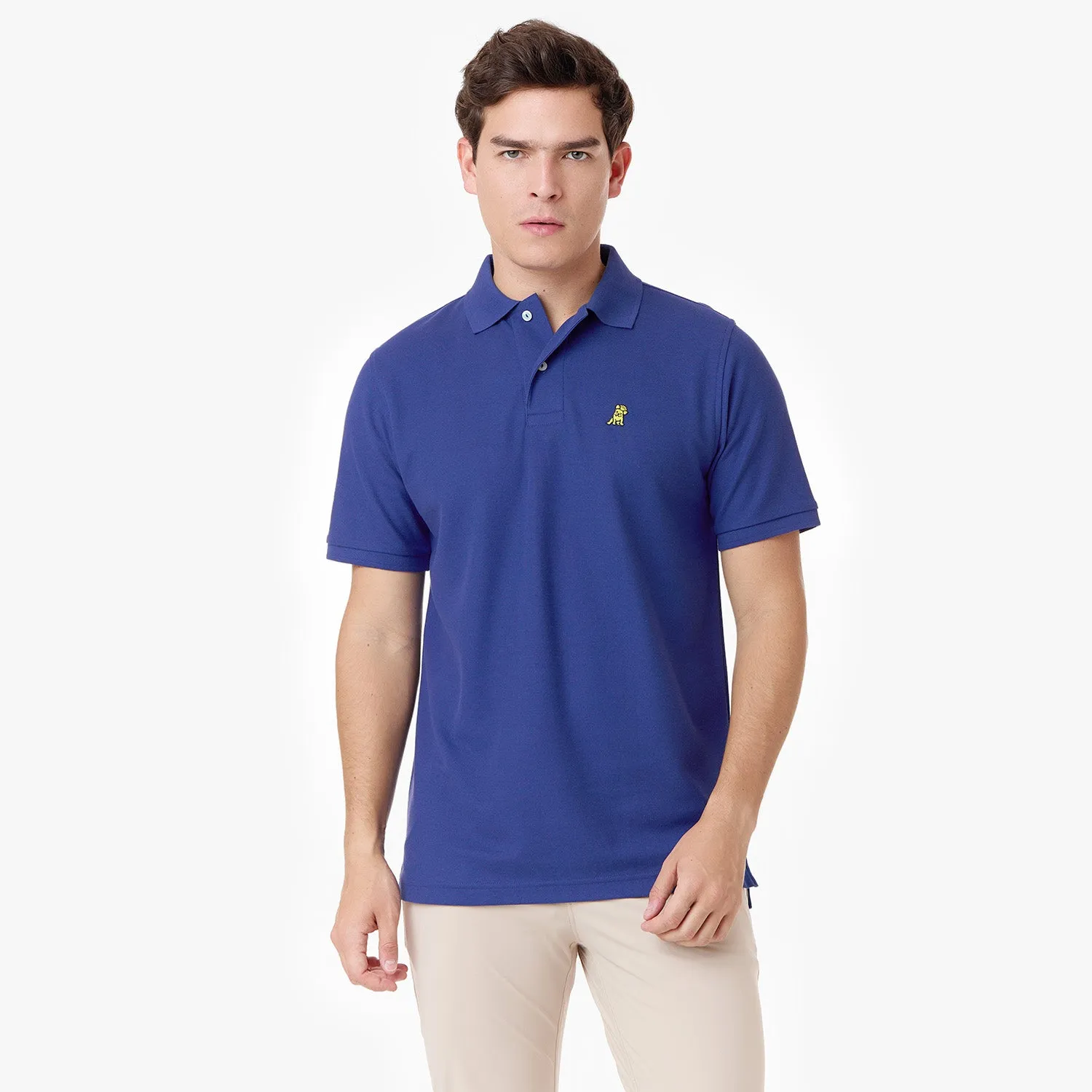 Men's Regular Fit Polo Shirt free setting