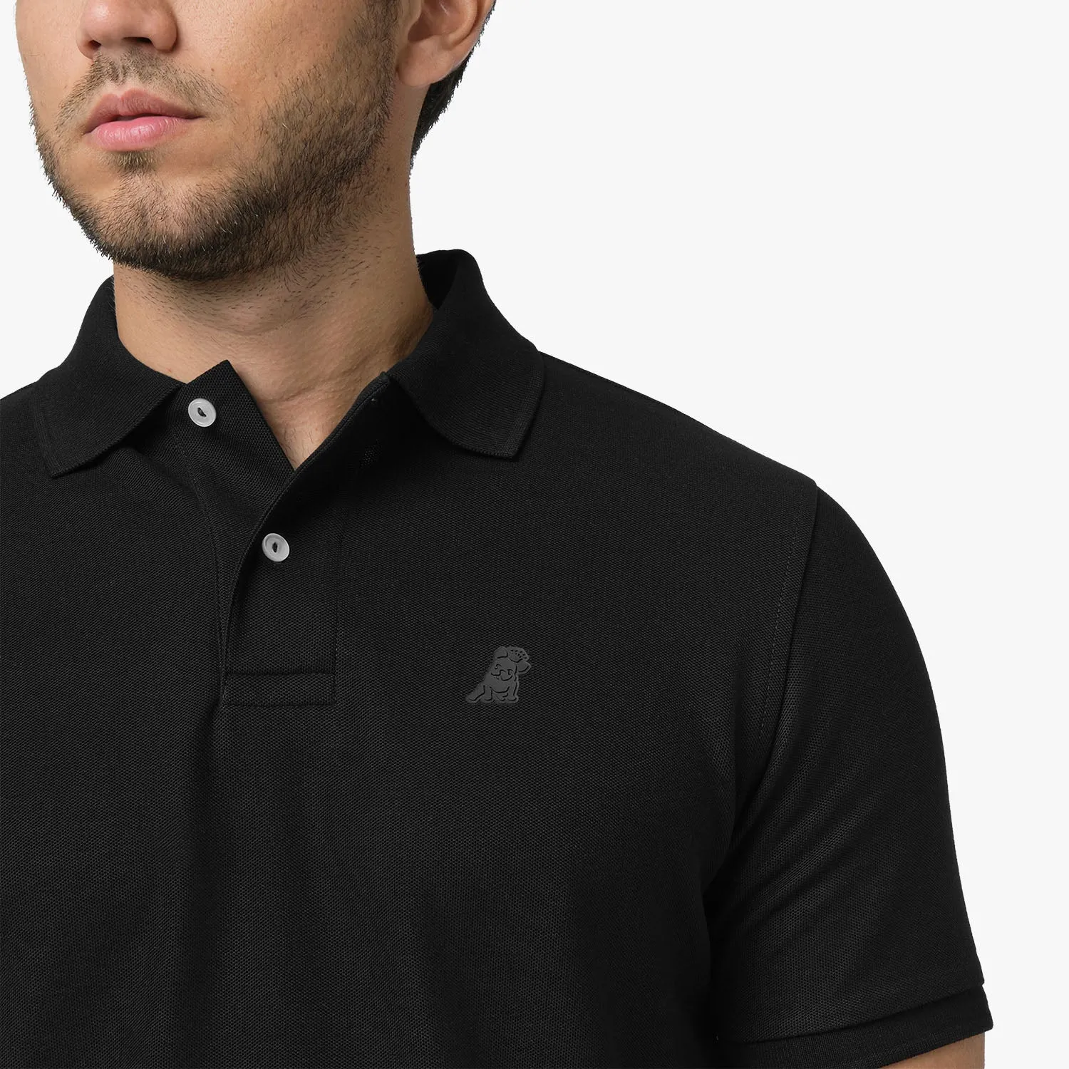 Men's Regular Fit Polo Shirt school daily