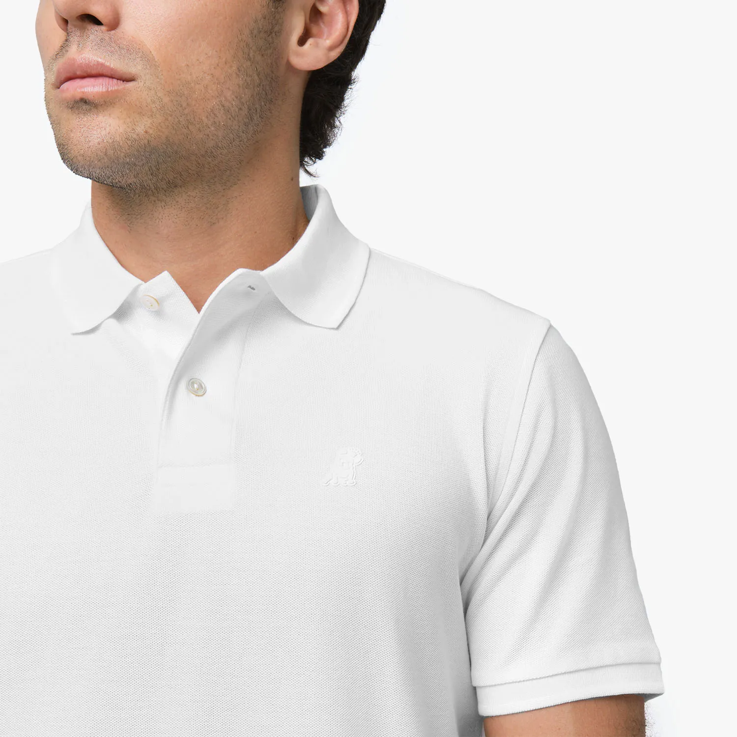 Men's Regular Fit Polo Shirt wardrobe need