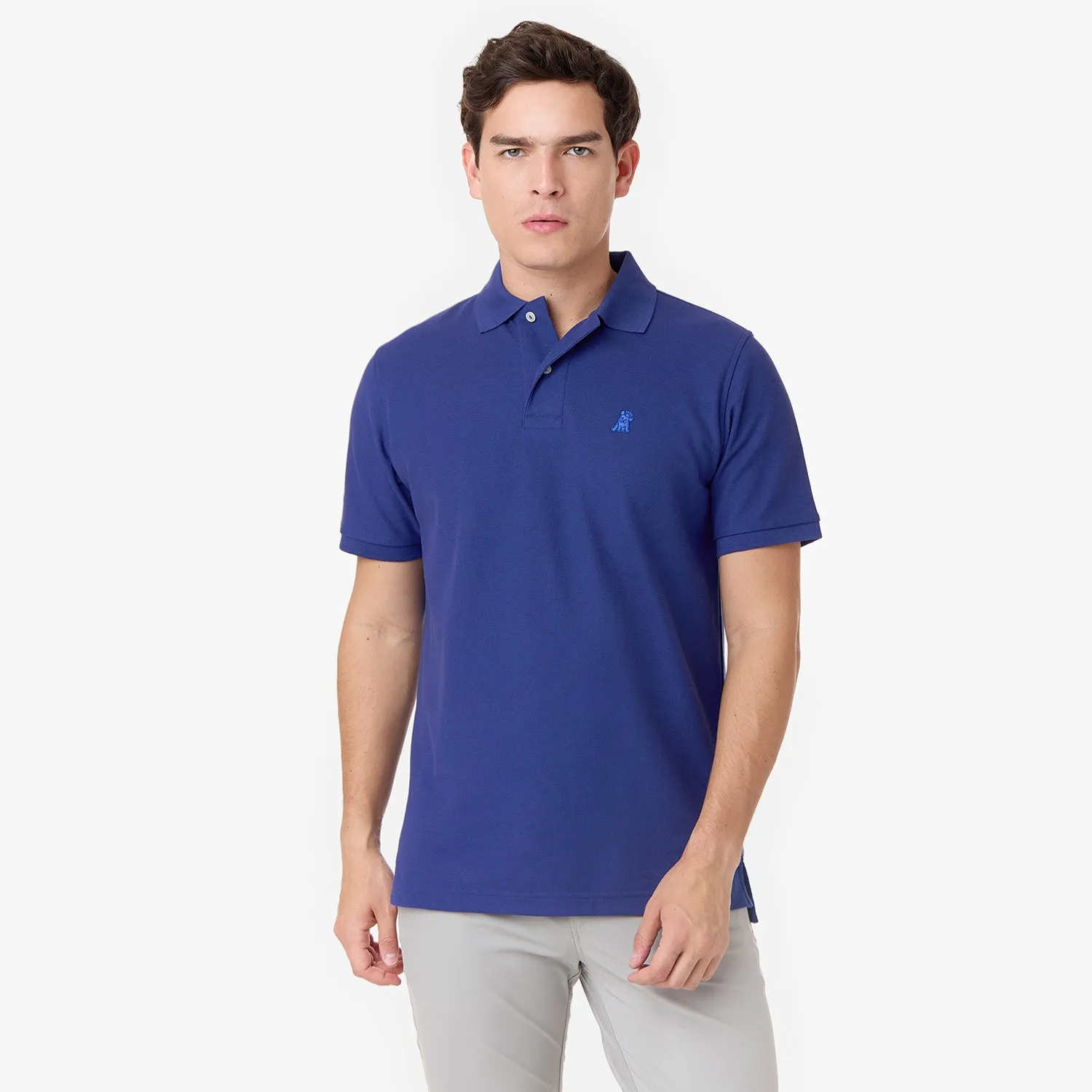 Men's Regular Fit Polo Shirt function type