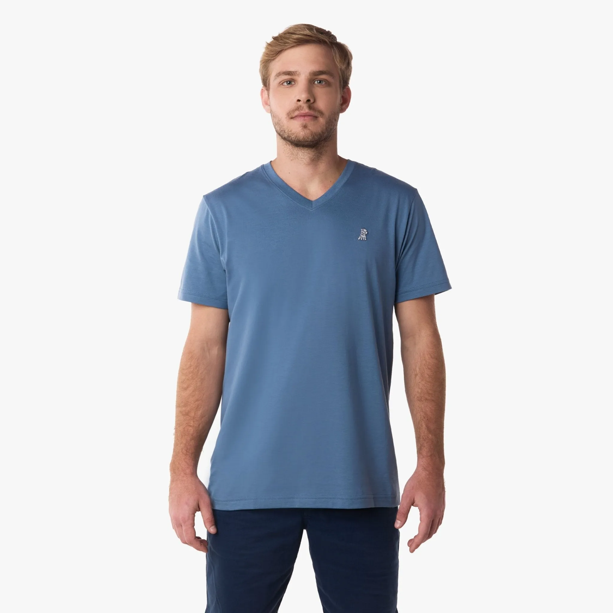 Men's V-Neck Jersey T-Shirt care mood