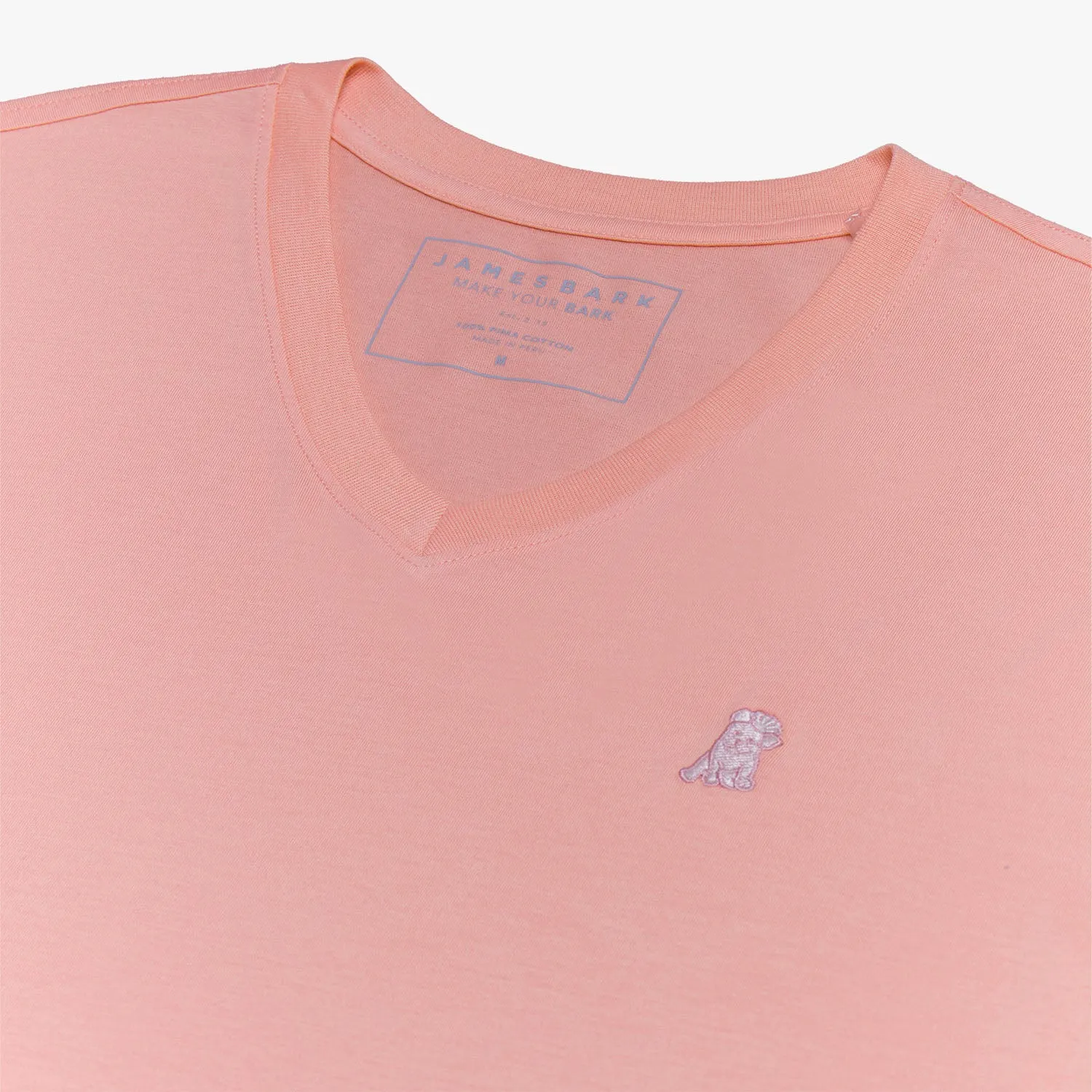 Men's V-Neck Jersey T-Shirt fun layer