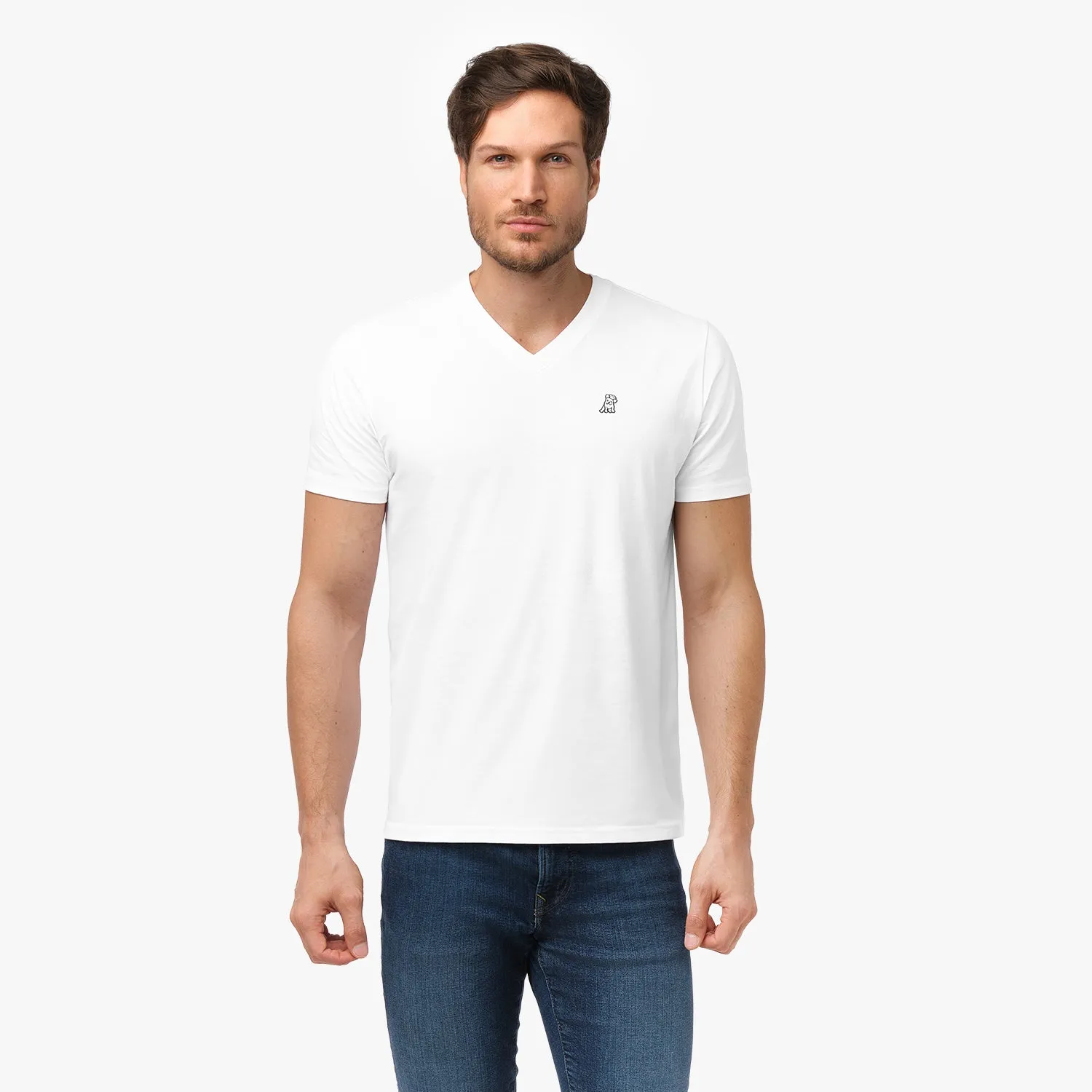 Men's V-Neck Jersey T-Shirt dream vibe