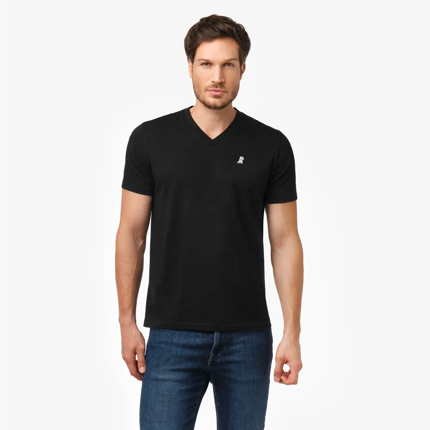 Men's V-Neck Jersey T-Shirt cool weather