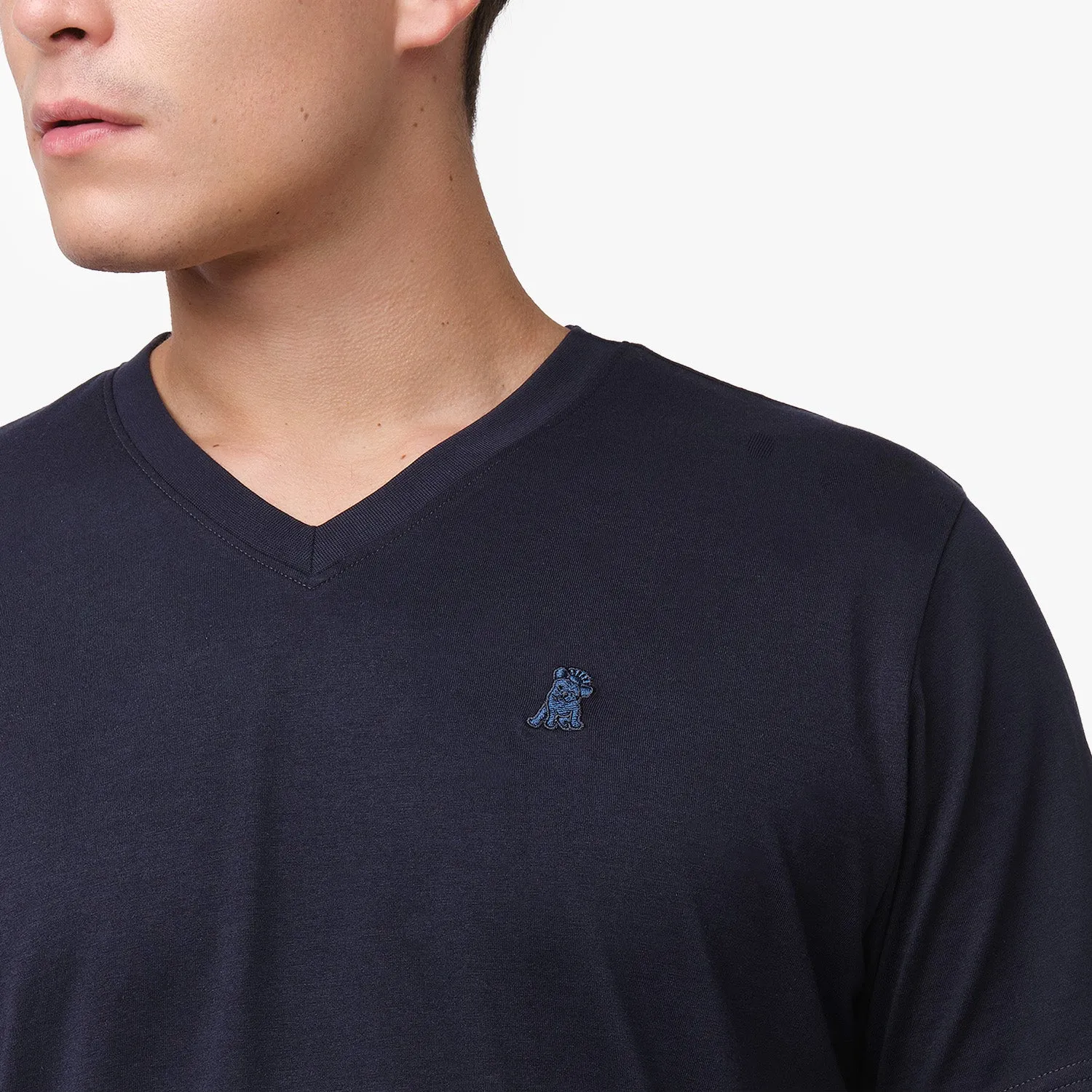 Men's V-Neck Jersey T-Shirt modern cut