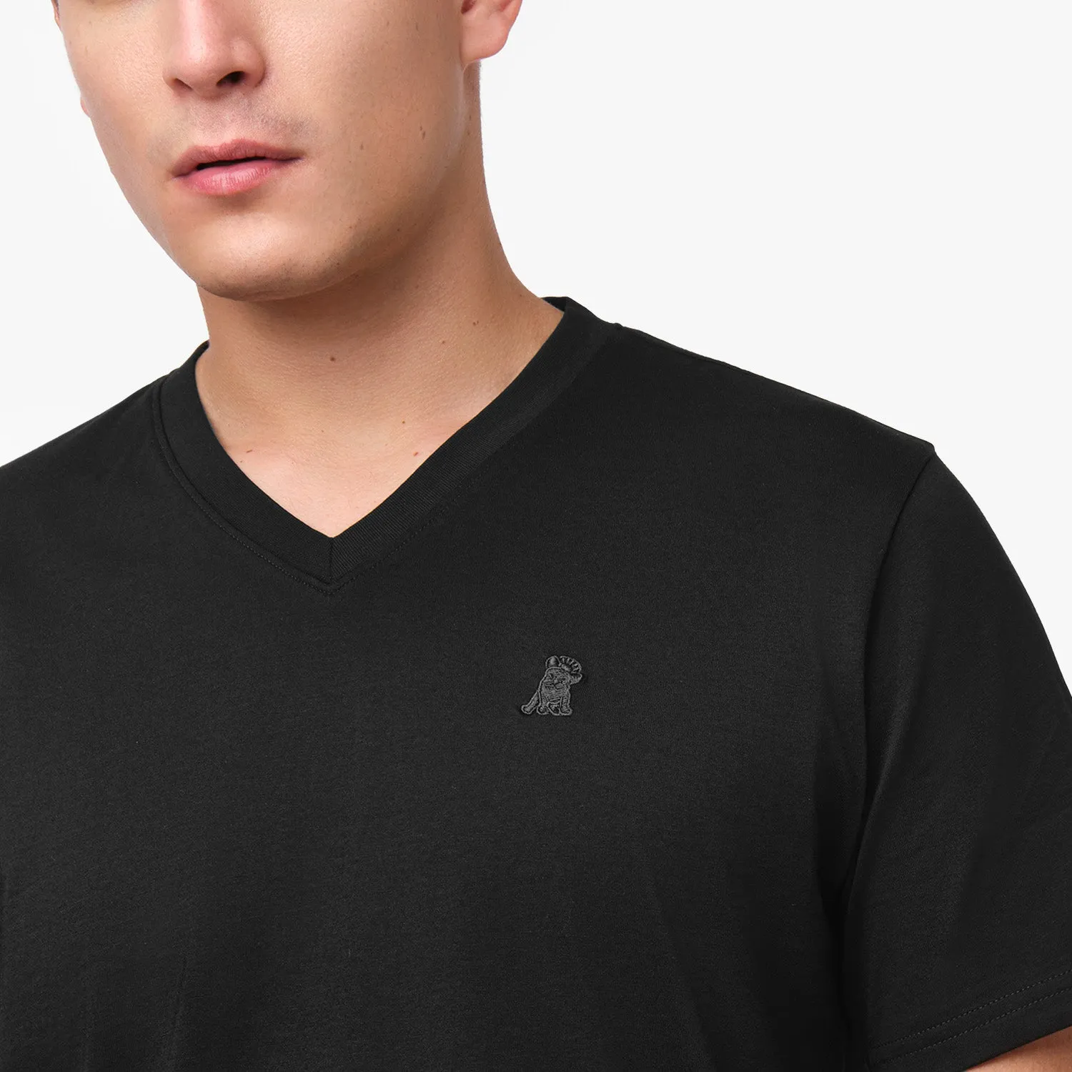 Men's V-Neck Jersey T-Shirt real you