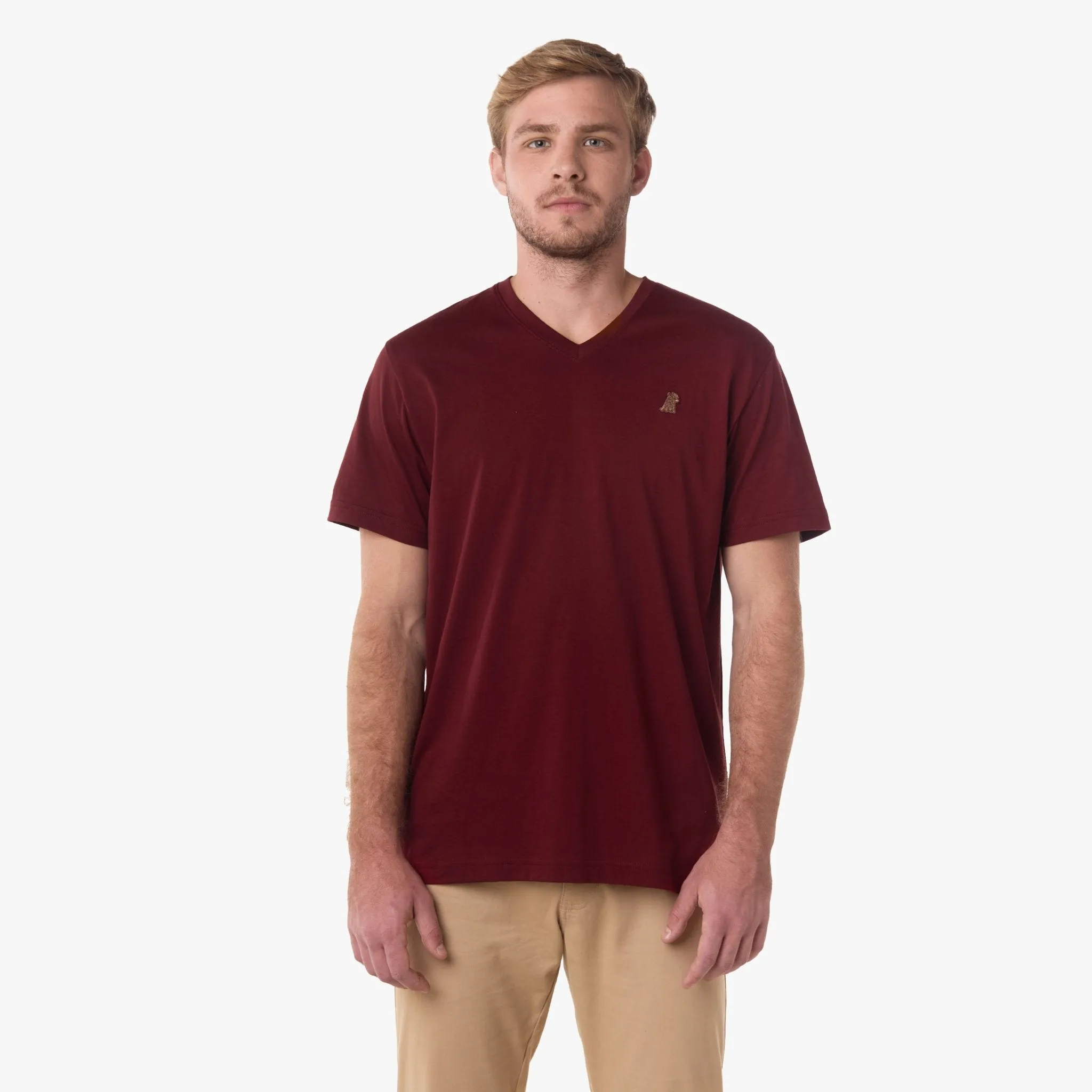 Men's V-Neck Jersey T-Shirt soft gear