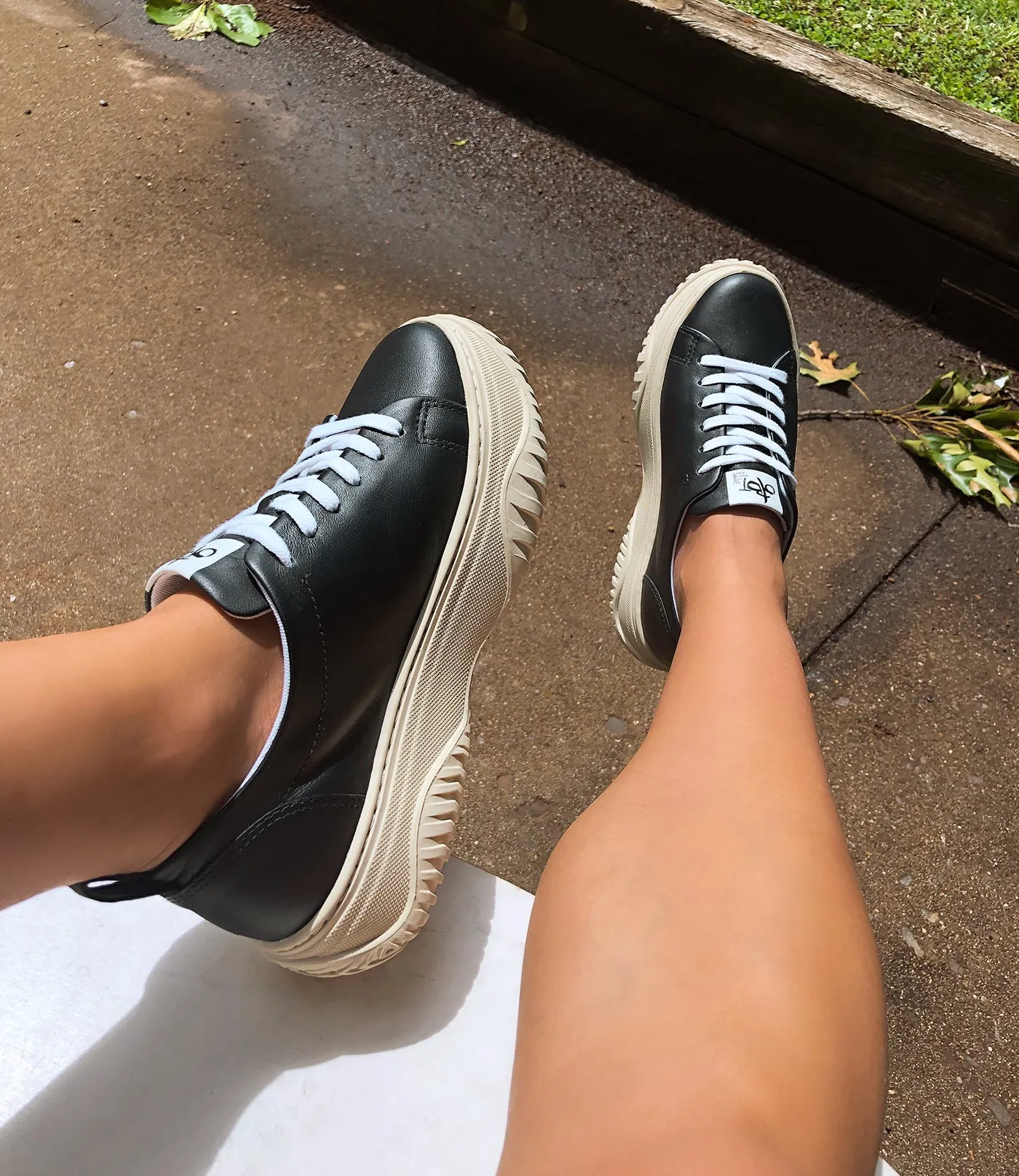 PANGEA in BLACK Court Sneakers colorful options