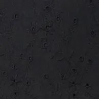 PROCIDA SKIRT | BLACK EYELET casual business