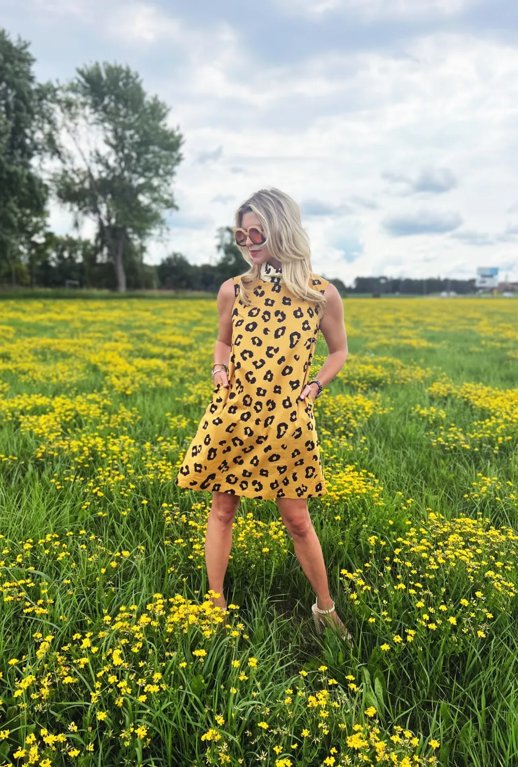 Sleeveless Mod Dress - Cheetah soft harmony
