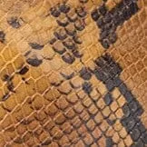 WALLY ANKLE BOOT | SNAKE Anti odor