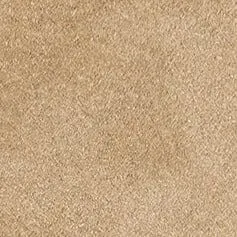 WALLY MULE | DUNE SUEDE fashion icon