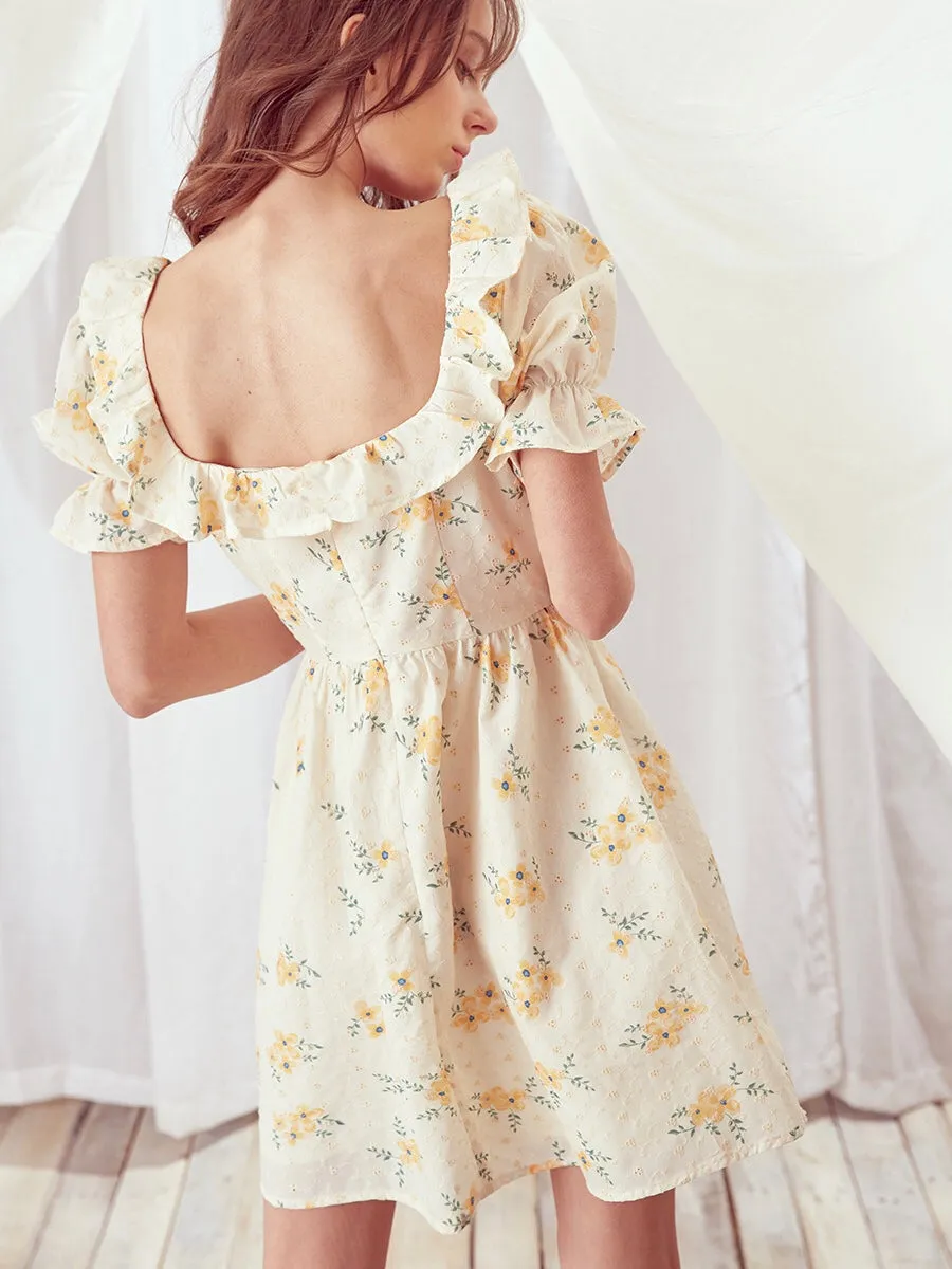 Wendy Darling Dress all occasion